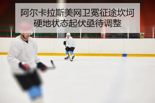 a-er-ka-la-si-mei-wang-wei-mian-zheng-tu-kan-ke-ying-di-zhuang-tai-qi-fu-ji-dai-tiao-zheng-2-810.jpg